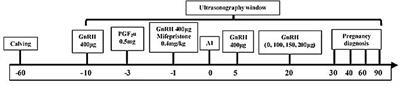 Administration of GnRH at day 20 of AI and embryonic losses in synchronized crossbred buffalo